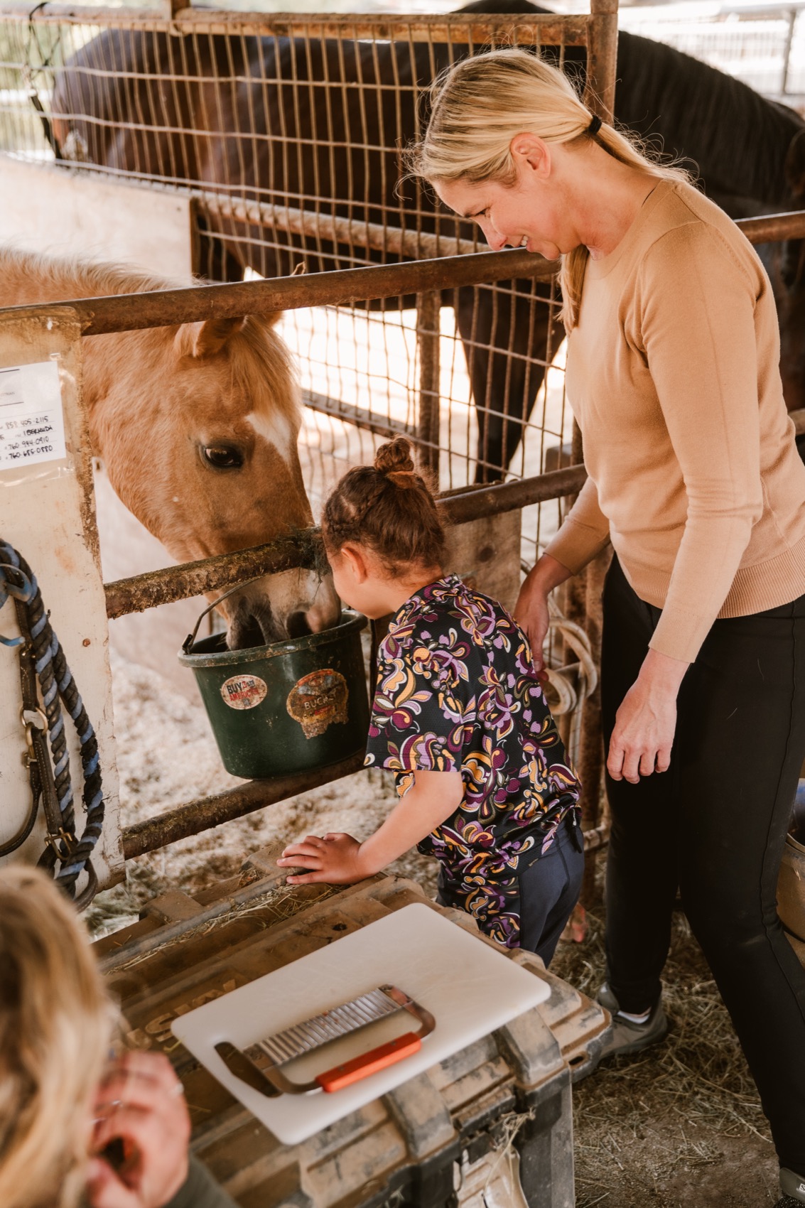 A child and a volunteer care for Melody at the grooming station