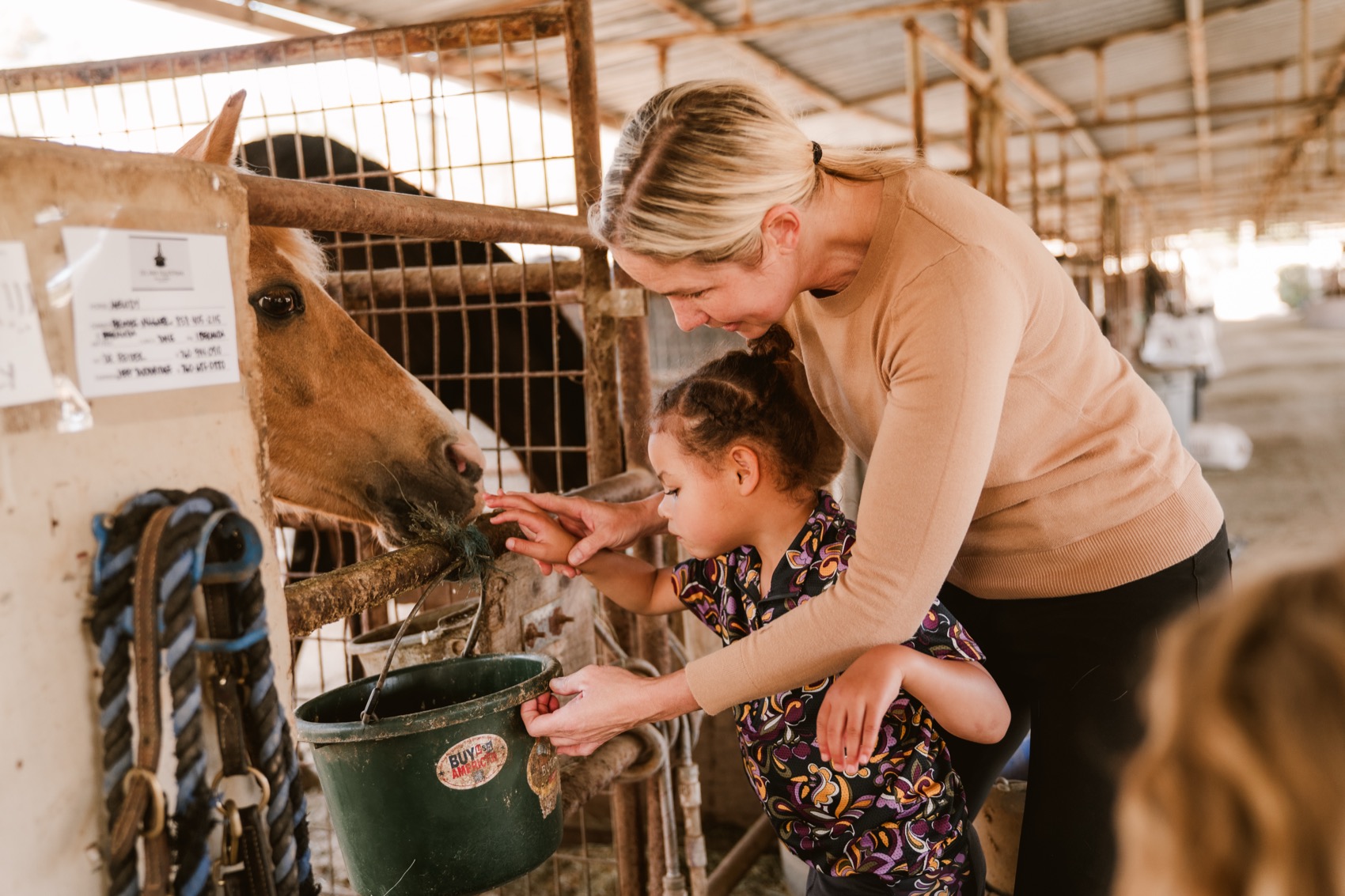 A volunteer helps a young child offer the palomino pony a feed bucket at the barn